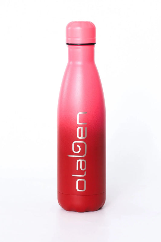 Olaben Steel Water Bottle - Fantasy